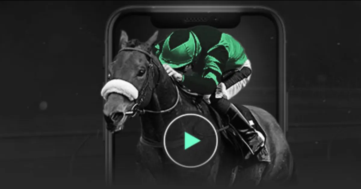 樊振东,本届奥运赛,事令我心情,NG体育,NG体育app,NG体育官网,NG体育下载,NG体育入口